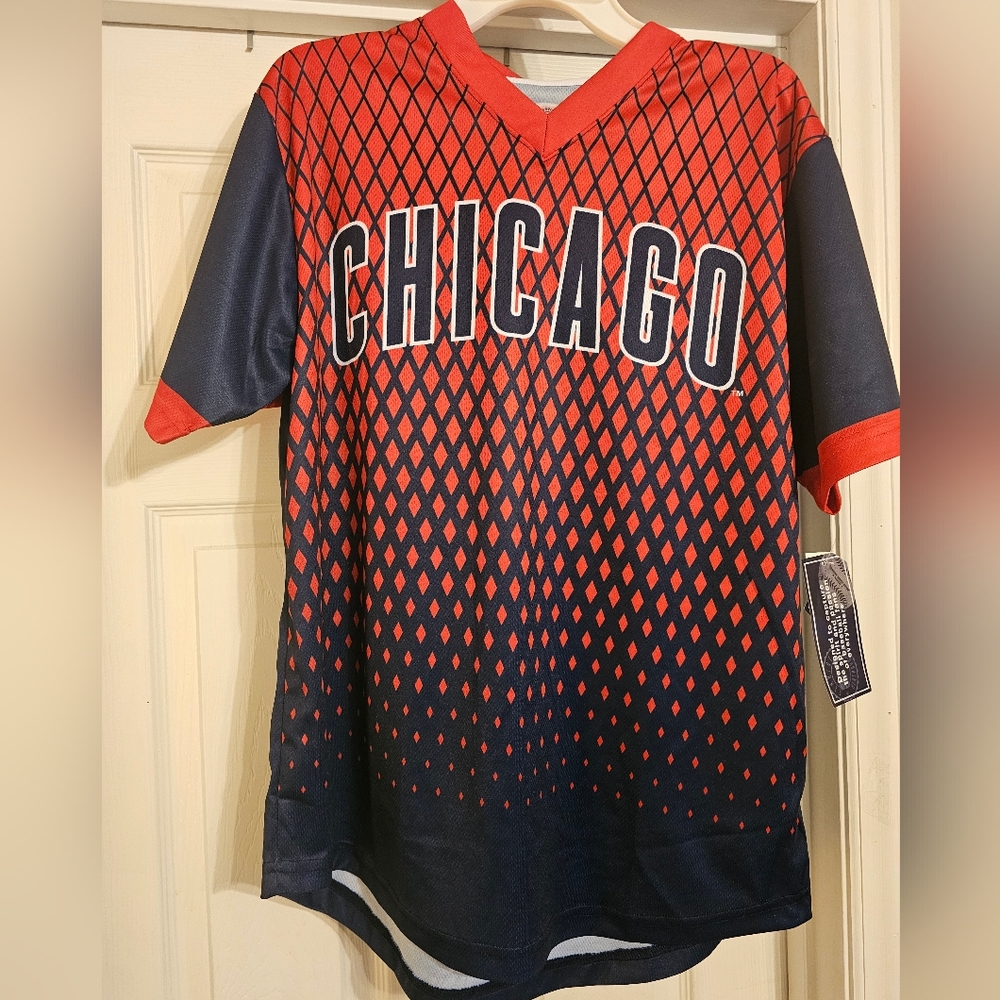 NWT Chicago Cubs T-shirt.  Size:L..